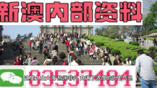 澳門最精準(zhǔn)免費資料大全旅游團,澳門最精準(zhǔn)免費資料大全與旅游團，探索澳門之旅的完美指南