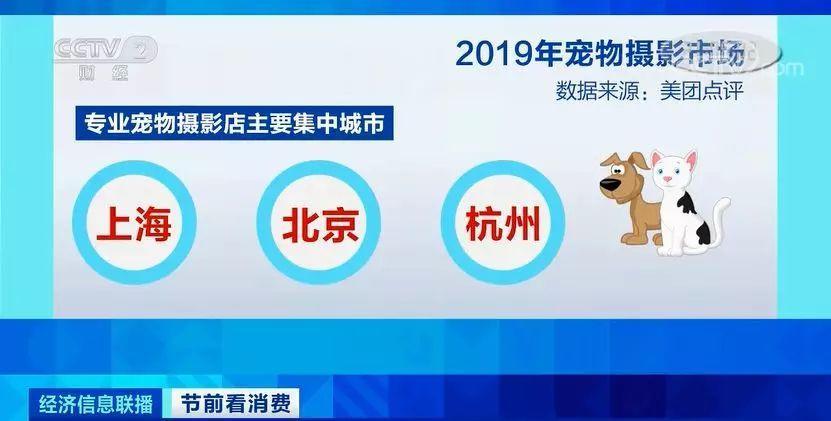 管家婆一肖一碼100正確,管家婆一肖一碼，揭秘100%正確的預(yù)測之道