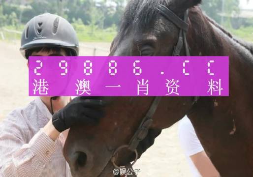 澳門今晚必中一肖一碼準(zhǔn)確9995,澳門今晚必中一肖一碼準(zhǔn)確9995——揭示背后的風(fēng)險與犯罪問題