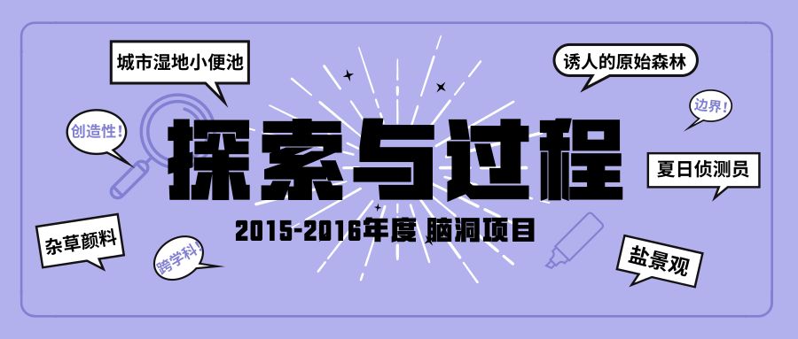 內(nèi)部正版資料大全嗅新澳全年免費(fèi),探索內(nèi)部正版資料大全，嗅新澳全年免費(fèi)的機(jī)遇與挑戰(zhàn)