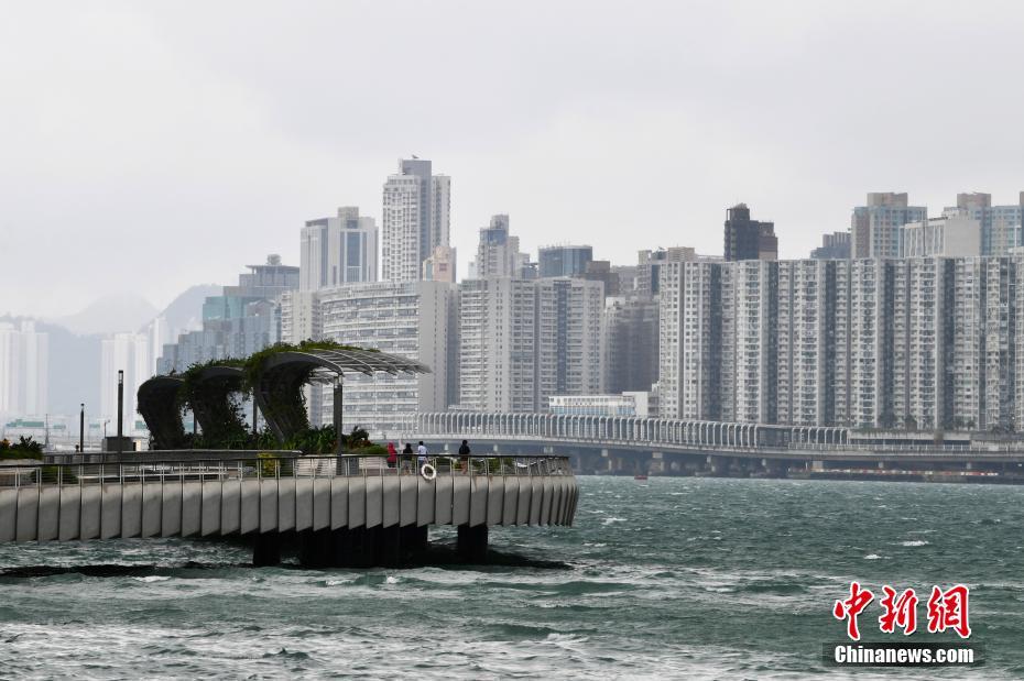 2024年香港正版資料免費大全, 2024年香港正版資料免費大全——探索信息的海洋