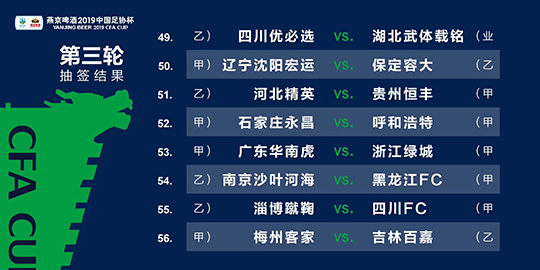 新澳2024年精準資料33期,新澳2024年精準資料33期深度解析