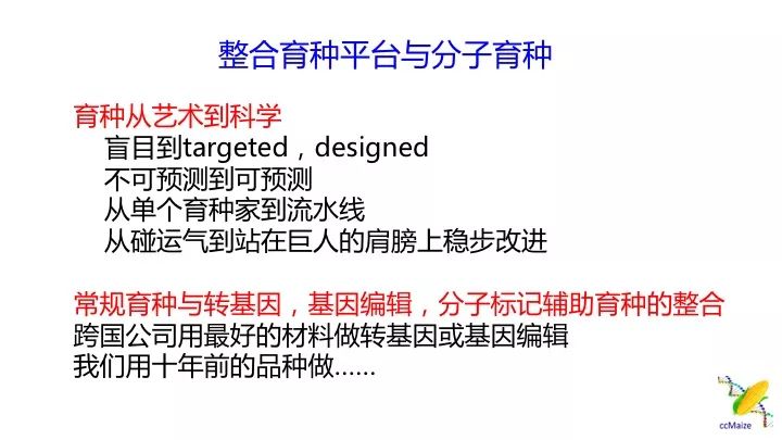 新澳資料免費(fèi)最新正版,新澳資料免費(fèi)最新正版，助力學(xué)術(shù)研究與個(gè)人成長(zhǎng)的無(wú)價(jià)資源