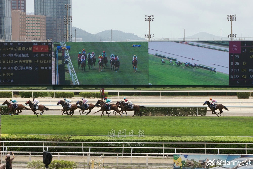 2024今晚澳門開特馬,2024今晚澳門開特馬——探索澳門賽馬文化