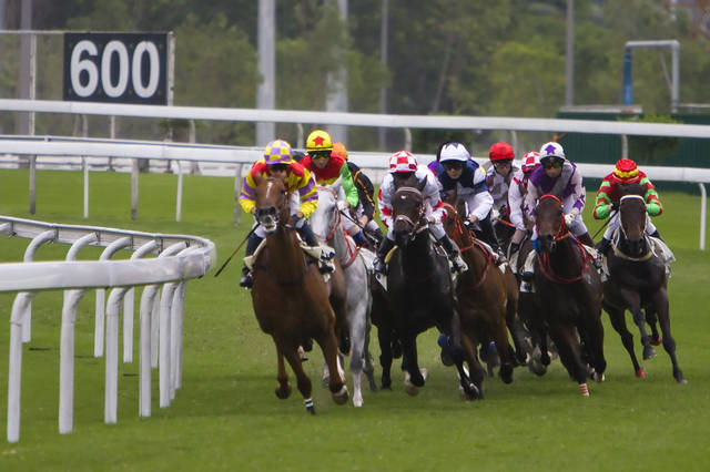 2024今晚香港開特馬開什么,探索香港賽馬文化，2024今晚特馬盛宴展望