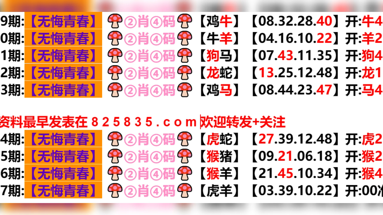 2024新澳門六開彩今晚資料|兢兢釋義解釋落實(shí),揭秘新澳門六開彩，兢兢釋義解釋與落實(shí)策略