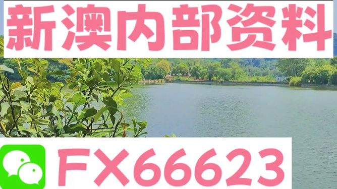 新澳精準(zhǔn)資料免費(fèi)提供4949期|堅(jiān)持釋義解釋落實(shí),新澳精準(zhǔn)資料免費(fèi)提供，4949期的堅(jiān)持釋義、解釋與落實(shí)