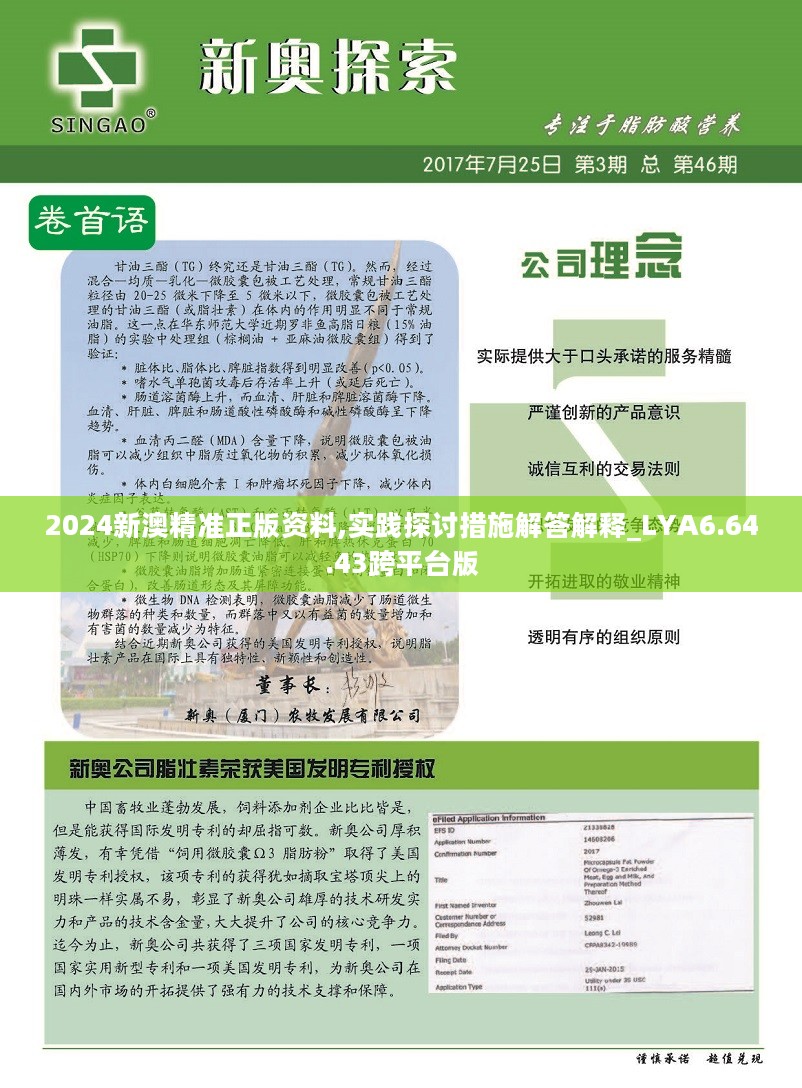 2025新澳精準(zhǔn)正版資料|潛力釋義解釋落實(shí),解讀新澳精準(zhǔn)正版資料，潛力釋義與落實(shí)策略