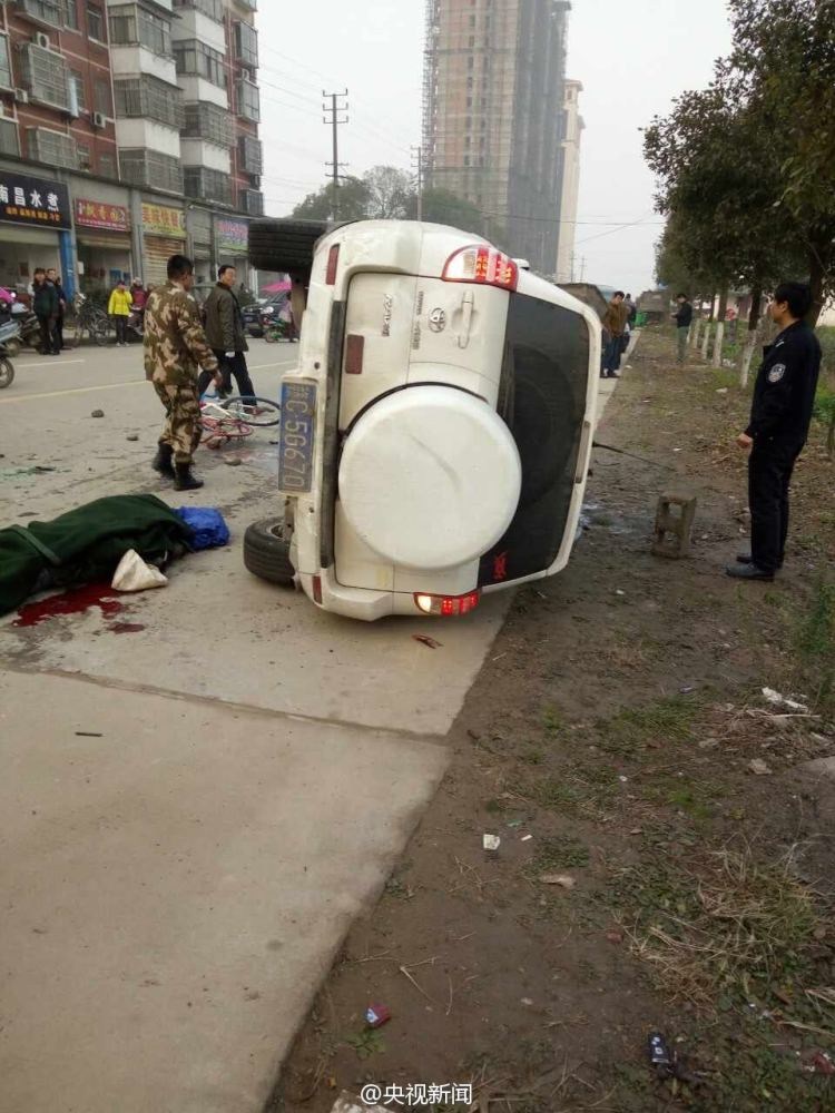 珠海駕車撞行人的原因|政策釋義解釋落實(shí),珠海駕車撞行人事件背后的原因探究與政策釋義落實(shí)的思考