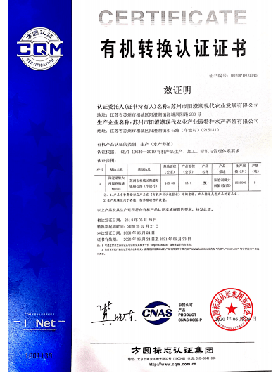 新奧門特免費資料大全管家婆|國際釋義解釋落實,新澳門特免費資料大全管家婆與國際釋義解釋落實