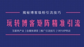 澳門天天免費(fèi)精準(zhǔn)大全|實(shí)證釋義解釋落實(shí),澳門天天免費(fèi)精準(zhǔn)大全，實(shí)證釋義、解釋與落實(shí)