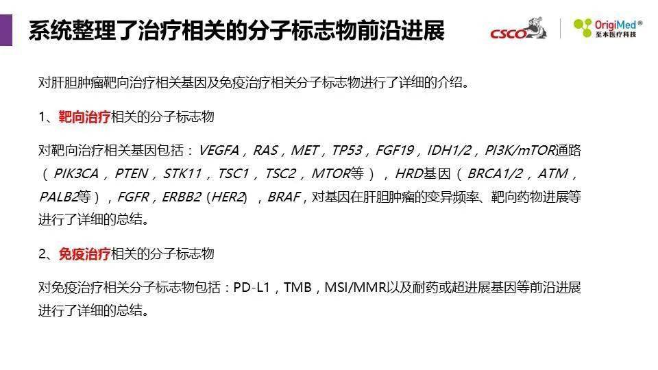 2025澳門精準(zhǔn)正版圖庫|接力釋義解釋落實,探索澳門正版圖庫的未來，接力釋義解釋與落實策略