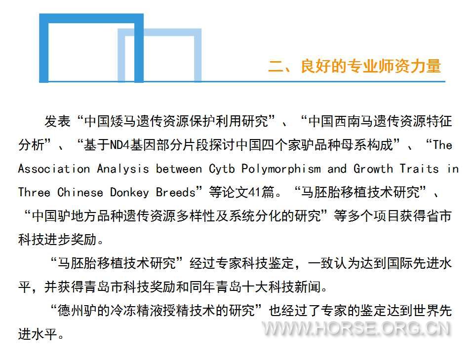 今晚澳門特馬開的什么|規(guī)避釋義解釋落實(shí),探索未知，今晚澳門特馬開獎(jiǎng)的神秘面紗與行動(dòng)落實(shí)