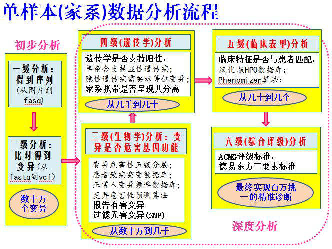 管家婆資料精準一句真言|性方釋義解釋落實,管家婆資料精準一句真言與性方釋義解釋落實的探討