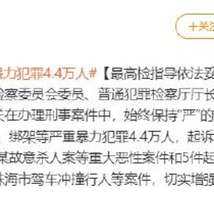 珠海駕車撞行人的原因|政策釋義解釋落實,珠海駕車撞行人原因探究及政策釋義解釋落實分析