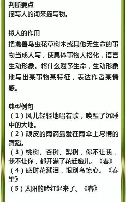 新澳精選資料免費提供|準(zhǔn)繩釋義解釋落實,新澳精選資料免費提供，準(zhǔn)繩釋義、解釋落實的重要性