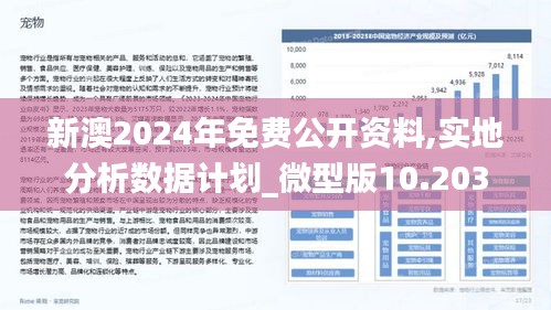 新澳2025今晚開獎資料|氣派釋義解釋落實,新澳2025今晚開獎資料與氣派的釋義，落實與解讀