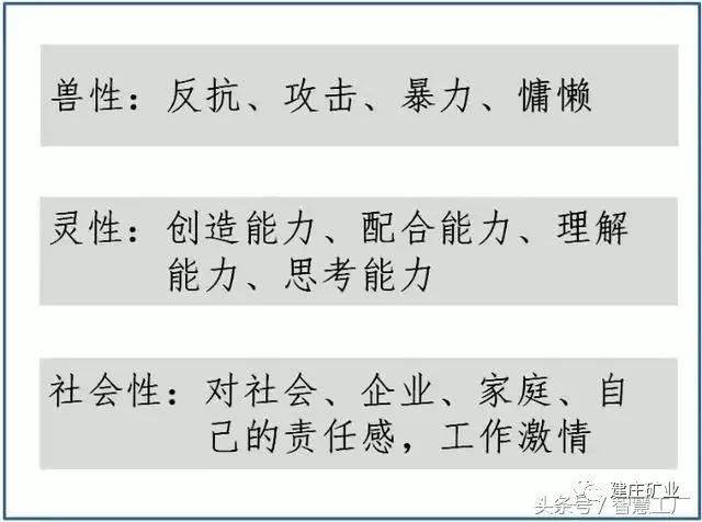 三肖必中特三肖三碼官方下載|確認釋義解釋落實,關于三肖必中特三肖三碼官方下載與確認釋義解釋落實的文章