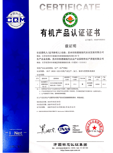 新奧門特免費(fèi)資料大全管家婆料|可靠釋義解釋落實(shí),新澳門特免費(fèi)資料大全與管家婆料，可靠釋義解釋與落實(shí)策略